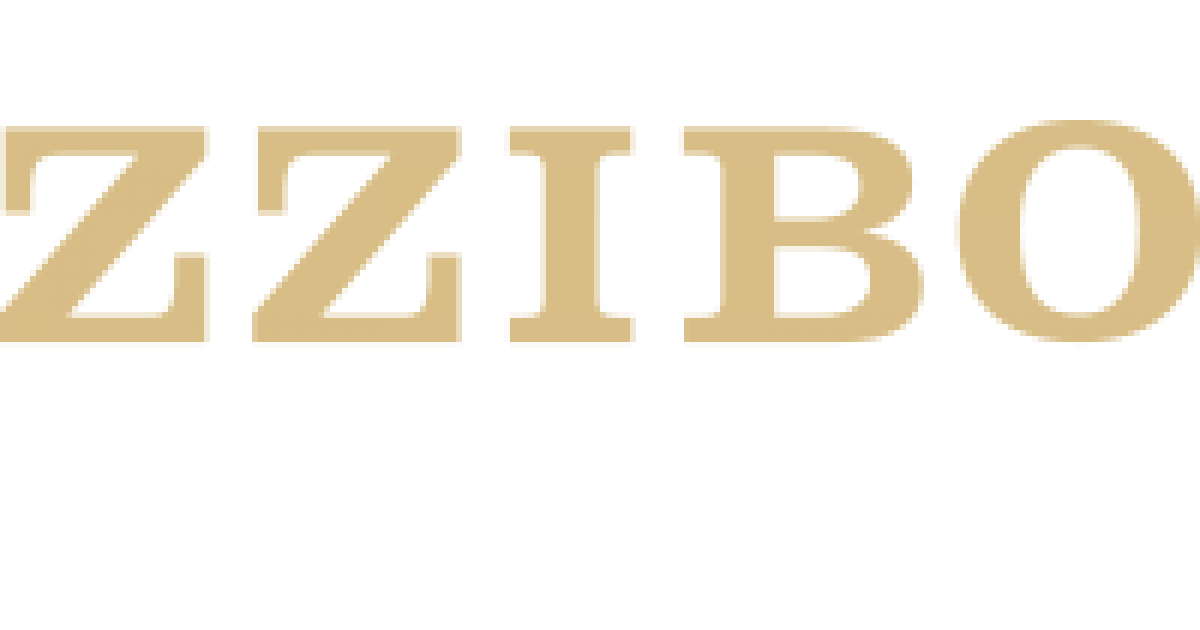 Логотип бренда ZZIBO